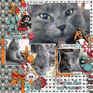 Love My Cat