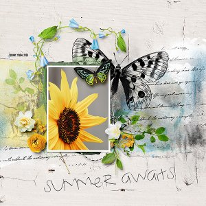 Summer Awaits