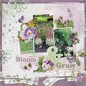Bloom and Grow
