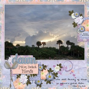 Dawn