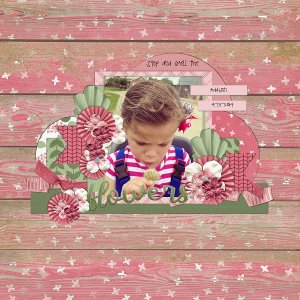 Addison - FLowers