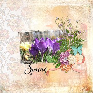 spring