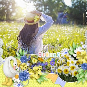Spring
