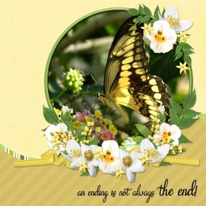 6-scr-spring-chicken-peacelovemauveT13
