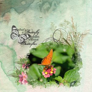 Butterfly
