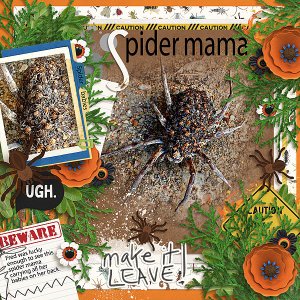 Spider Mama