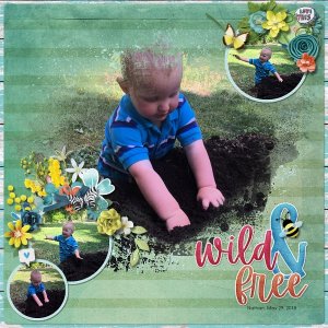 Wild and Free