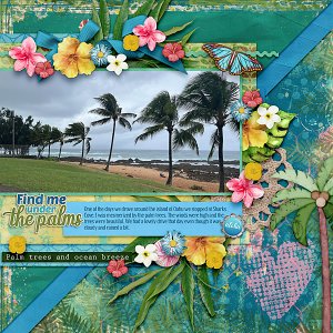 Tropical Hideaway