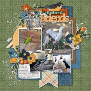 Feathered Friends