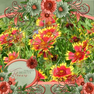 EVERYDAY BEAUTY FLOWERS