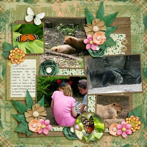 All the Zoos