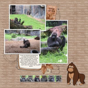 Gorillas