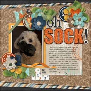 Oh sock!