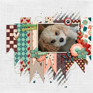 D-is-for-Dog