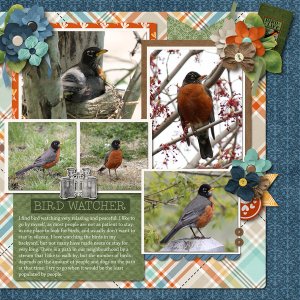 Birdsong