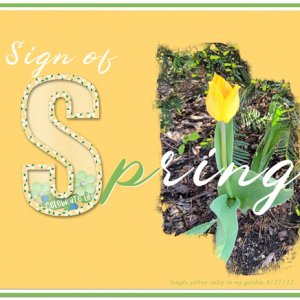 Sign of Spring