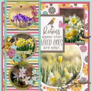 SPRING ROBINS