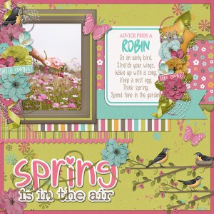 SPRING ROBINS