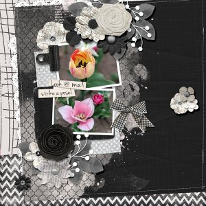Template Challenge iNSD2022