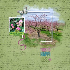 Meadowbrook Orchard