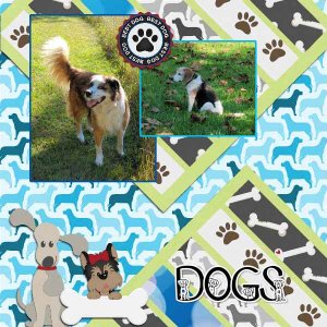 DOGS INSD