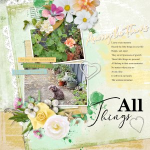 5/2022 iNSD Template Challenge with CarolW