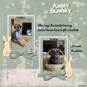 Funny Bunny
