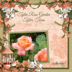 Tyler Rose Garden in the rain!
