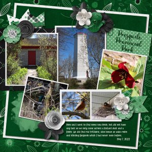 May Template Bundle - Paint Chips - Emerald