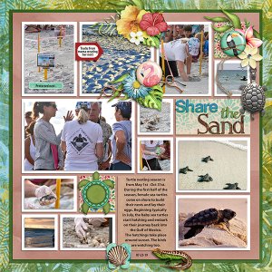 Share the Sand