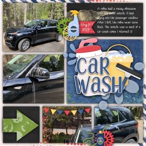 Needs a Car Wash