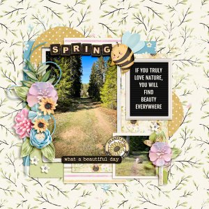 Spring Time