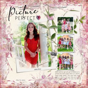 Picture Perfect