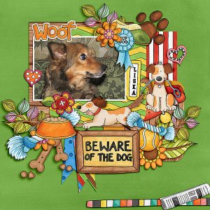 Beware Of The Dog