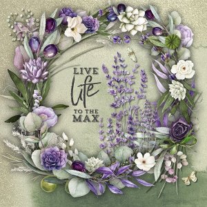 Live Life