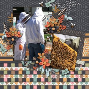 Honey Bees
