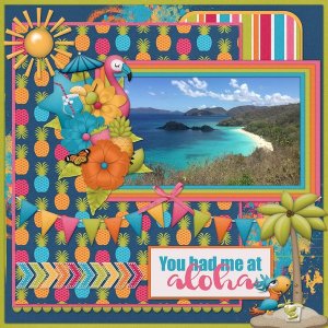 TROPICAL TWEETS