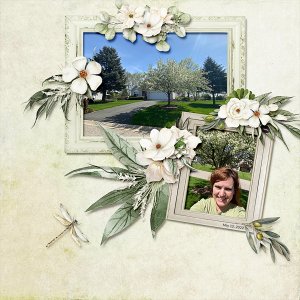 Flowering Crabapple Tree