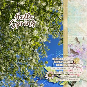 Hello Spring!