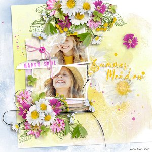 summer meadow
