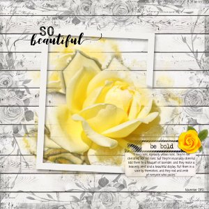 Yellow Rose