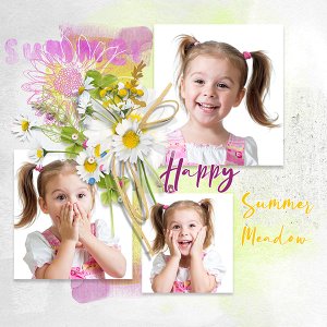 Summer Meadow