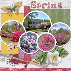 Spring Flowers 2022