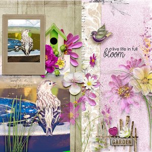 Live Life In Full Bloom