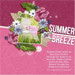 Summer Breeze