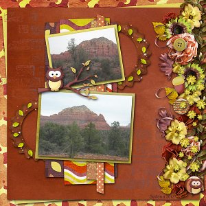 BD-Sedona2012