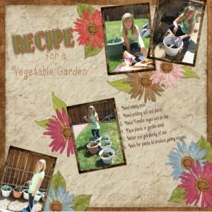 Team 46 ADSR 7.4 Recipe for a Vegetable Garden