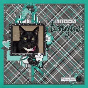kitty tongue