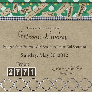 Bridging Certificate