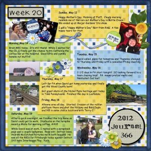 Journal 366 - Week 20